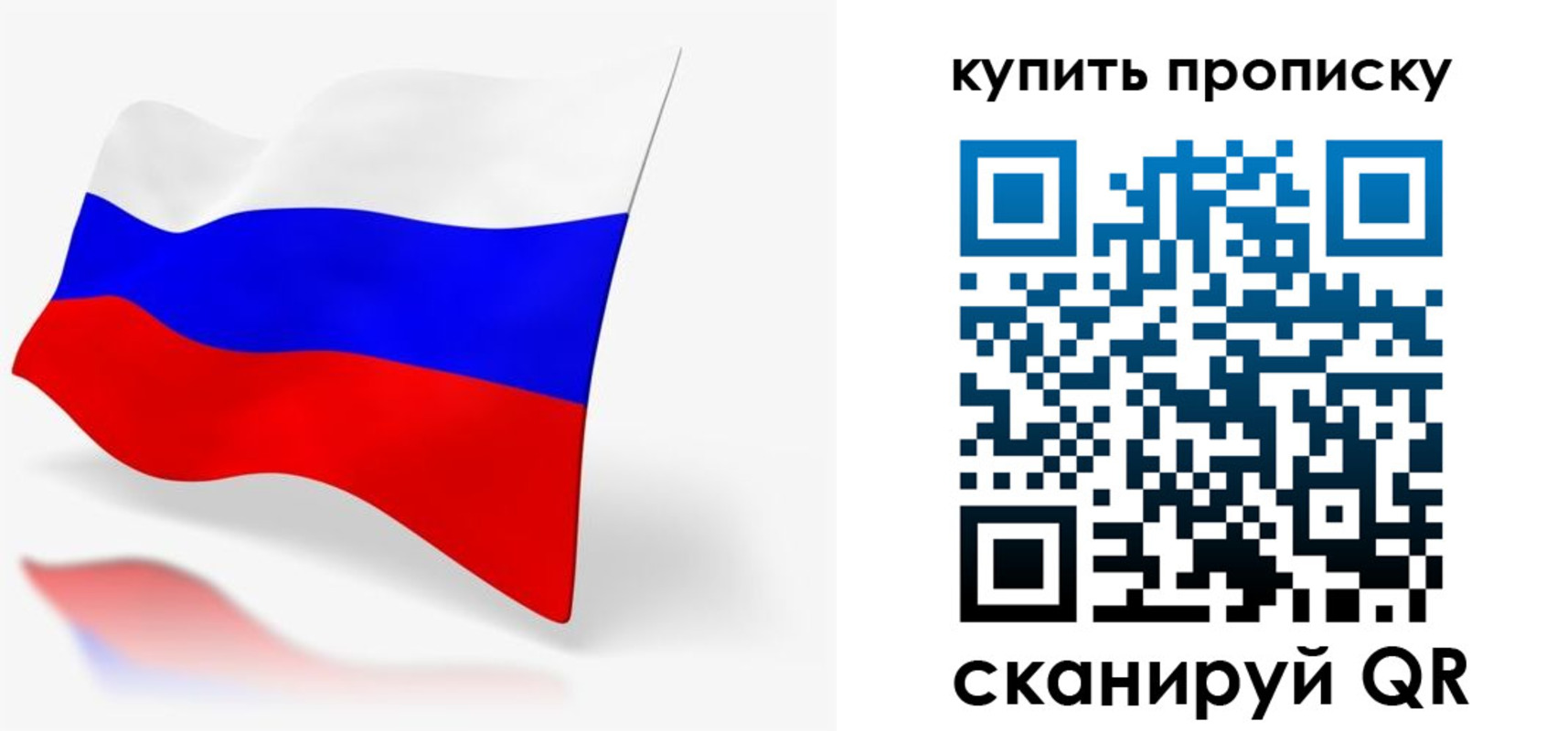 временная регистрация гарантия в Апатитах